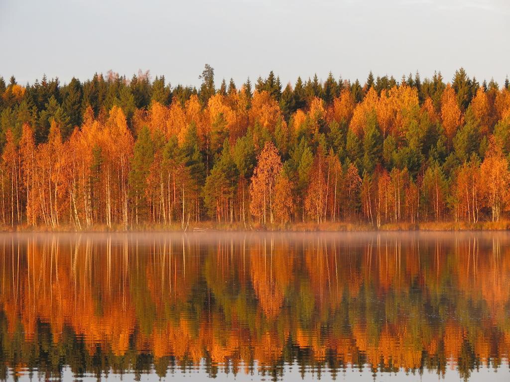 Honkiniemi Hotell Ähtäri Exteriör bild